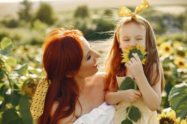 Tarladaki ayçiçeklerinde güzel ve sevimli bir aile.