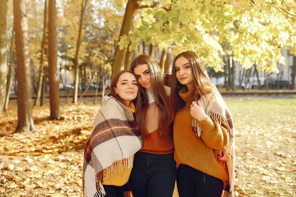 Meninas elegantes e elegantes em um parque de outono — Fotografia de Stock