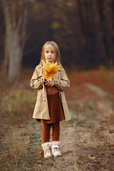 Nettes kleines Mädchen spaziert in einem Herbstpark — Stockfoto