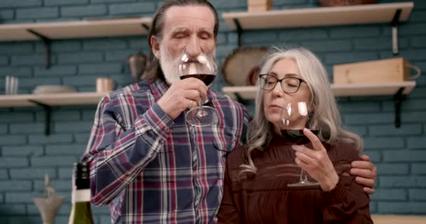 Pareja mayor degustación de vino en la cocina — Vídeo de stock