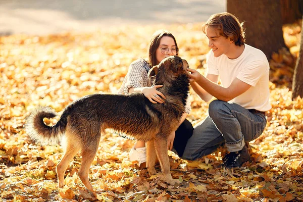 Belo casal passar o tempo em um parque de outono — Fotografia de Stock