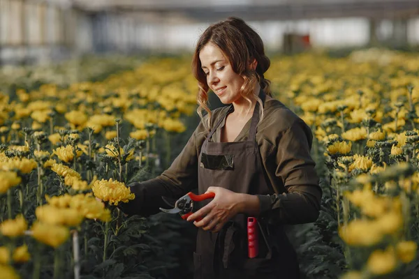 Mujer con camisa verde trabajando en un invernadero —  Fotos de Stock