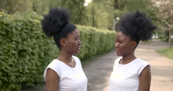African American twins in the park together — Stock Video