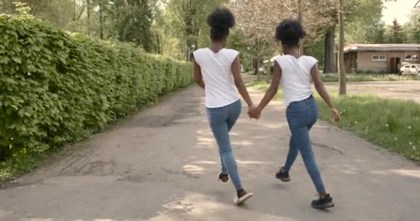 Rückansicht zweier afrikanischer Freunde im Park — Stockvideo