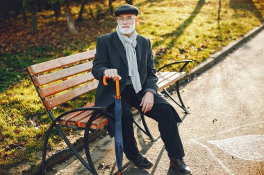 Güneşli bir sonbahar parkta zarif yaşlı adam