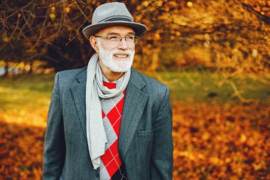 Güneşli bir sonbahar parkta zarif yaşlı adam