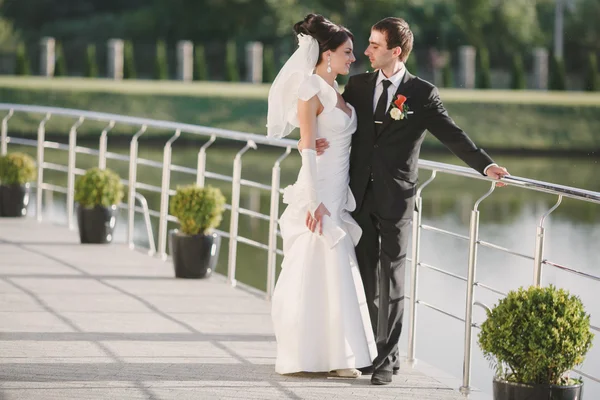 Dia do casamento — Fotografia de Stock