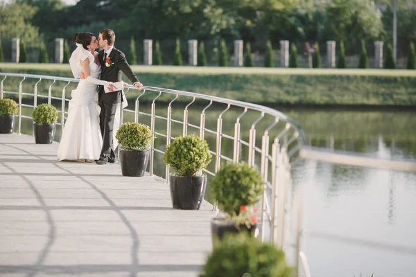 Dia do casamento — Fotografia de Stock