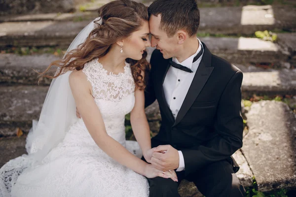 Hermosa boda en pareja —  Fotos de Stock