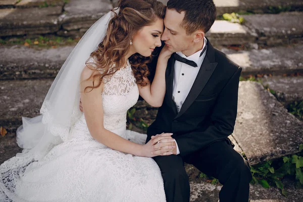 Hermosa boda en pareja —  Fotos de Stock