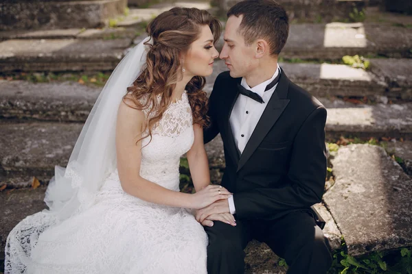 Vackra par bröllop — Stockfoto