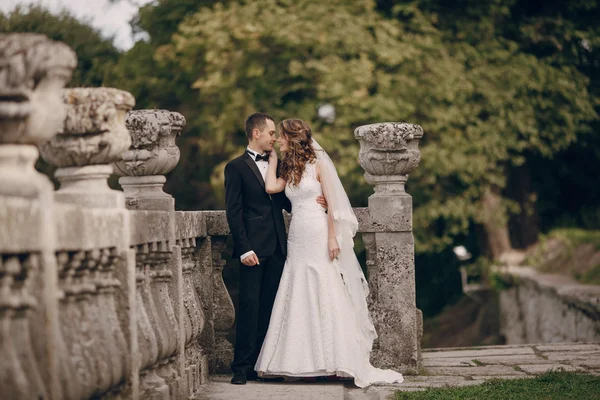 Hermosa boda en pareja — Foto de Stock