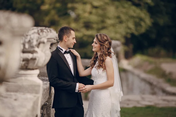 Casamento lindo casal — Fotografia de Stock