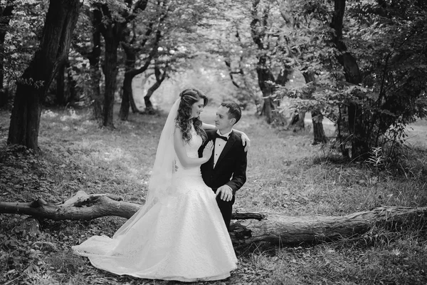 Pareja de boda en el parque — Foto de Stock