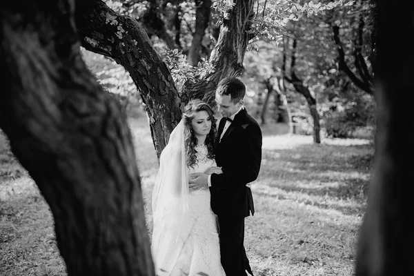 Wedding couple in the park — Stock Photo, Image