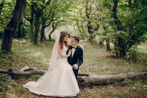 Matrimonio coppia nel parco — Foto Stock