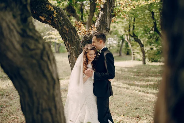 Matrimonio coppia nel parco — Foto Stock
