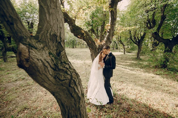 Bröllop par i parken — Stockfoto
