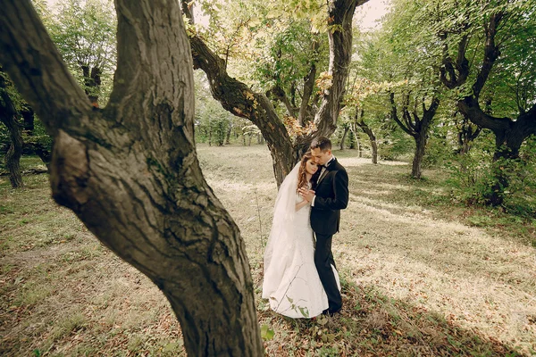 Wedding couple in the park — Stock Photo, Image