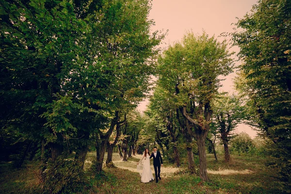 Parkta evlenen çift. — Stok fotoğraf