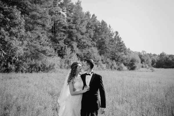 Hochzeitspaar im Park — Stockfoto