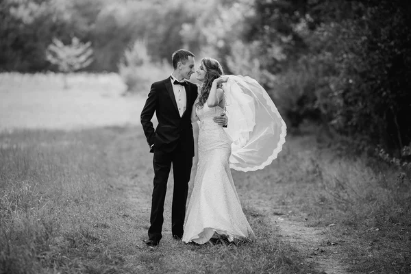 Pareja de boda en el parque — Foto de Stock