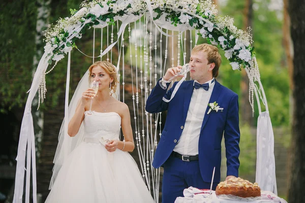 Wedding arch — Stock Photo, Image