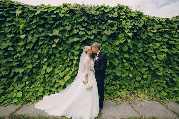 Lindo casal casamento loiro — Fotografia de Stock