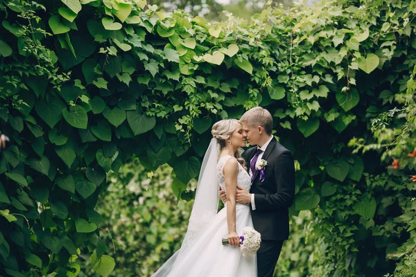 Красива блондинка весільна пара — стокове фото