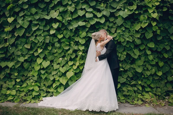 Lindo casal casamento loiro — Fotografia de Stock