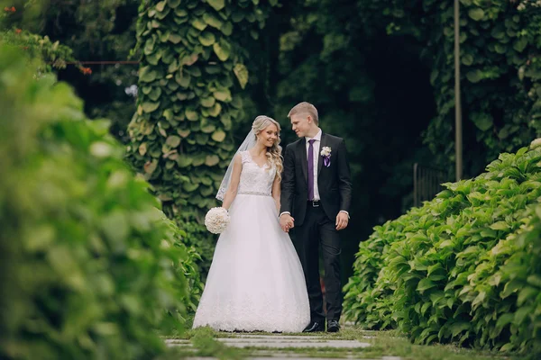 Lindo casal casamento loiro — Fotografia de Stock