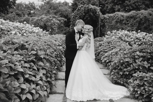 Beautiful blond wedding couple — Stock Photo, Image