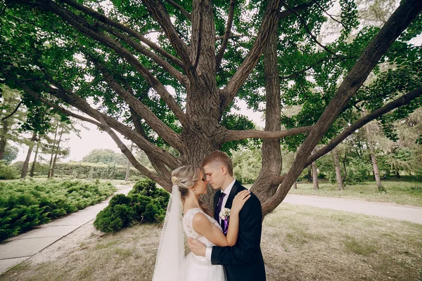 Pasangan pengantin pirang yang cantik — Stok Foto