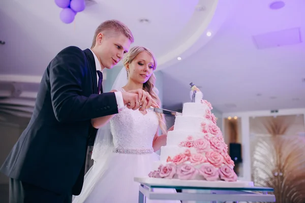 Bride cut a wedding cake — Stock Photo, Image