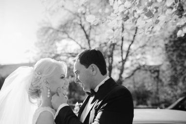  kaç woods ve şehir içinde 