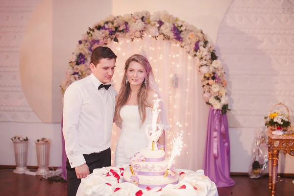 Fiesta de bodas —  Fotos de Stock