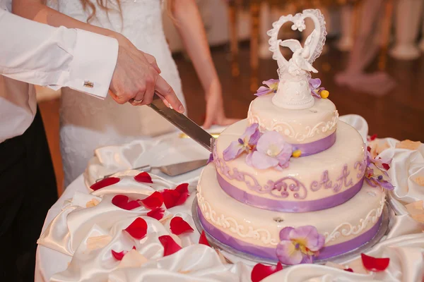 Festa de casamento — Fotografia de Stock