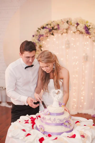 Wedding party — Stock Photo, Image