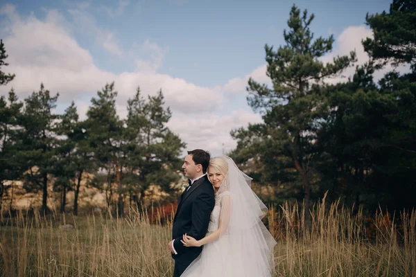 Casal na floresta & cidade — Fotografia de Stock