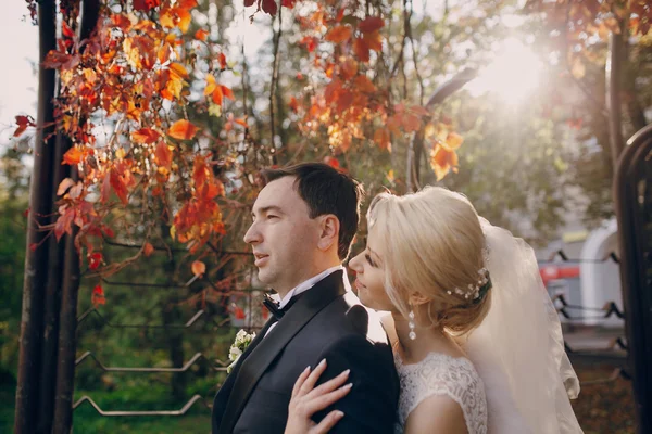 Casal na floresta & cidade — Fotografia de Stock