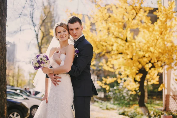 Wedding photo — Stock Photo, Image