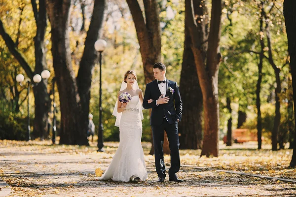 Matrimonio autmn — Foto Stock