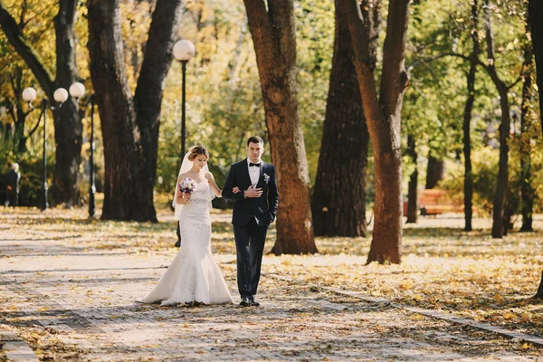 Matrimonio autmn — Foto Stock