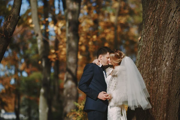 結婚式の秋 — ストック写真