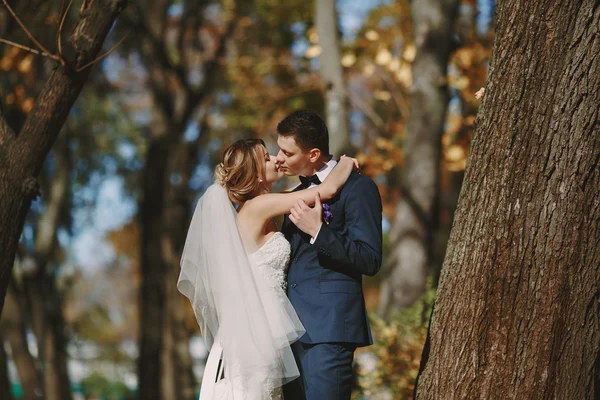 Matrimonio autmn — Foto Stock