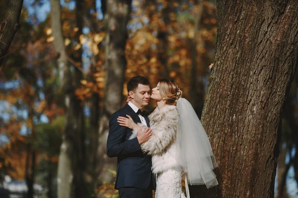 Düğün sonbahar — Stok fotoğraf
