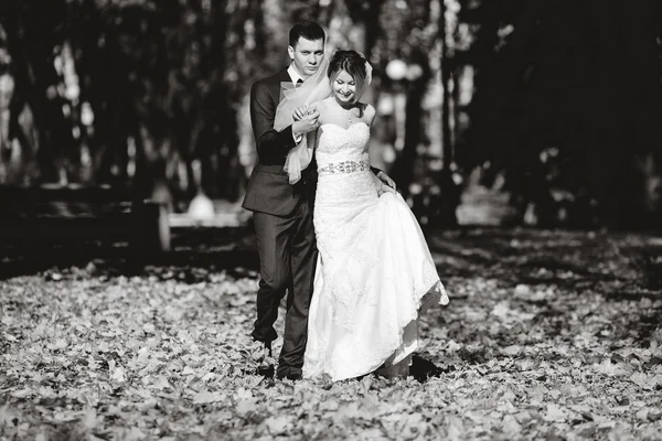 結婚式の秋 — ストック写真