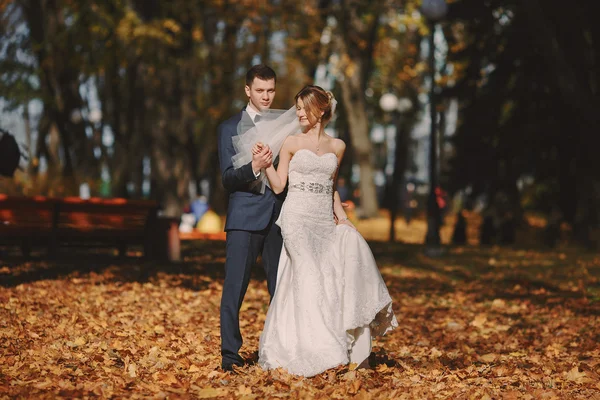 Casamento autmn — Fotografia de Stock