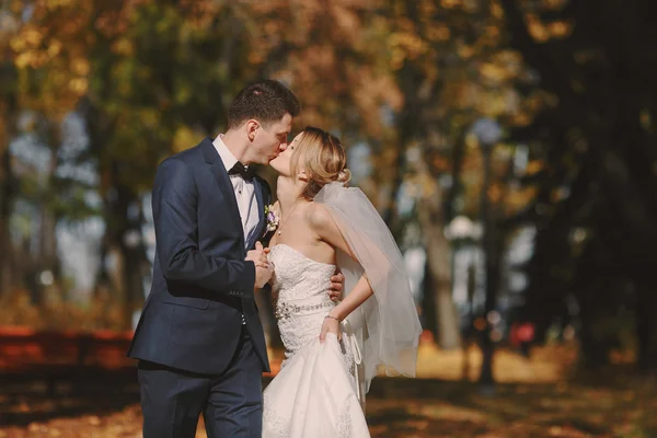 Casamento autmn — Fotografia de Stock