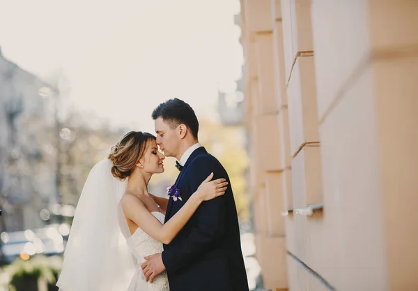 Matrimonio autmn — Foto Stock